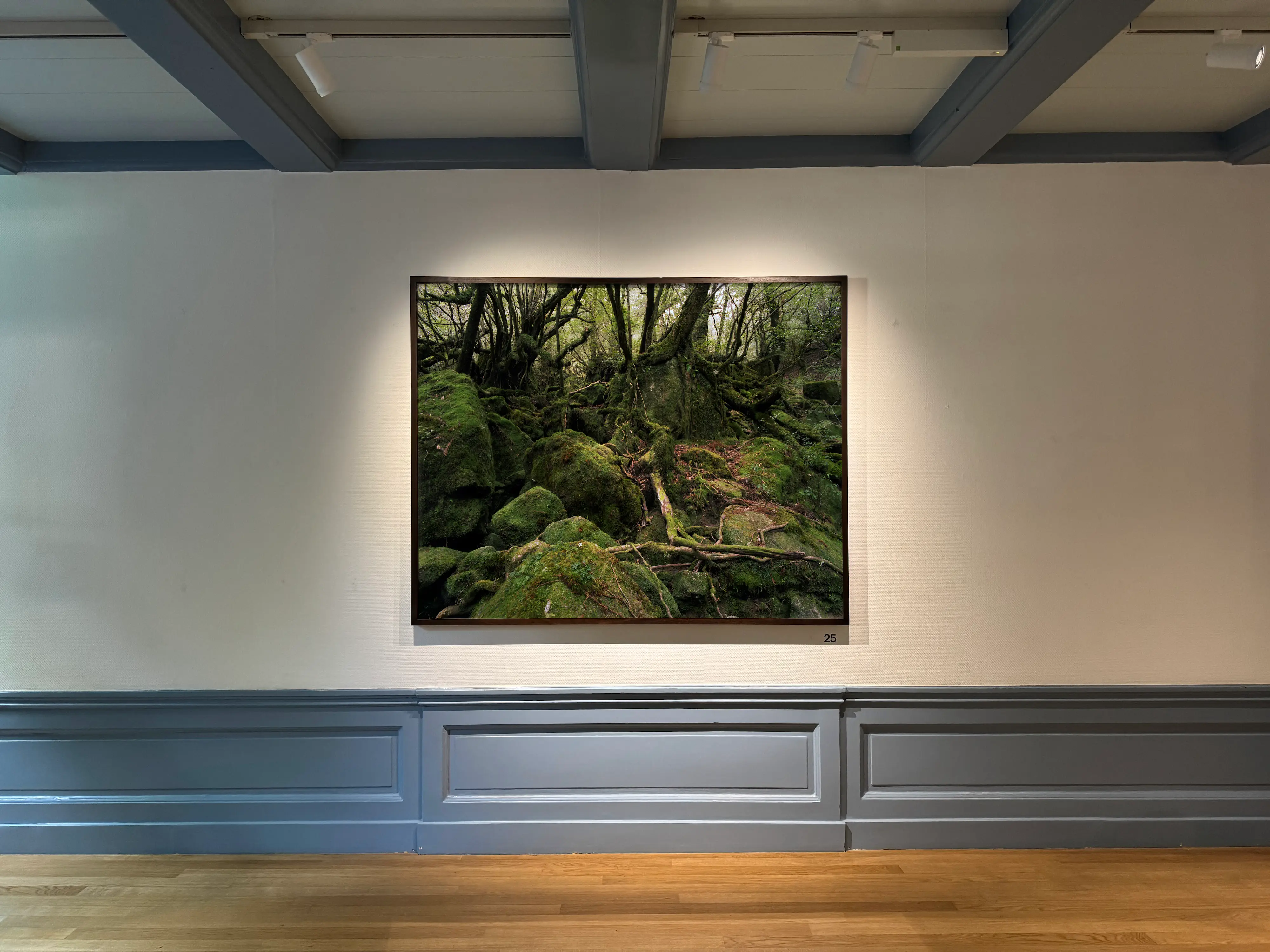 Memento, Collection Huis Marseille