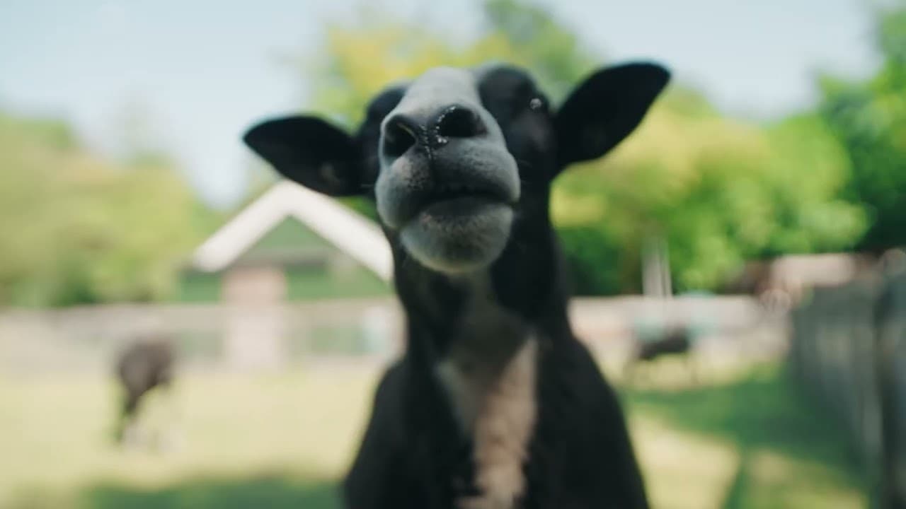 Ken je deze plekken al? - Video thumbnail