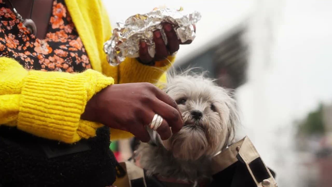 Hoe goed ken jij Nieuw-West? - Video thumbnail