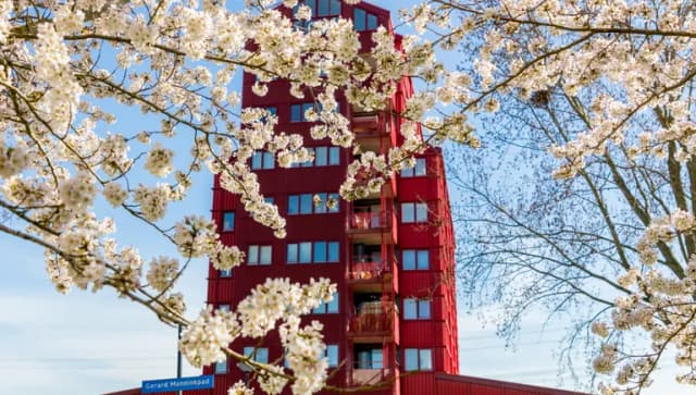 The beginning of spring is the perfect time to discover the unique and colourful architecture of the Rainbow Quarter (Regenboogbuurt), the many cherry blossoms will bloom.