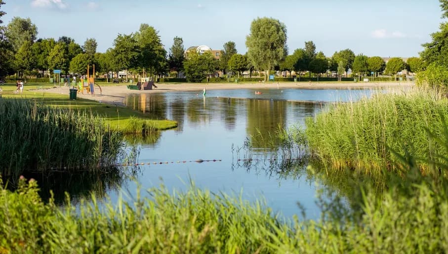 The Toolenburgerplas in Hoofddorp.
