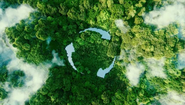 Abstract icon representing the ecological call to recycle and reuse in the form of a pond with a recycling symbol in the middle of a beautiful untouched jungle. 3d rendering.
