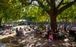 Gratis activiteiten in september