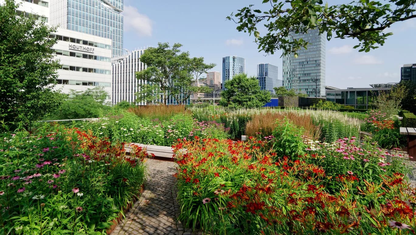 sustainable initiatives increasing urban biodiversity