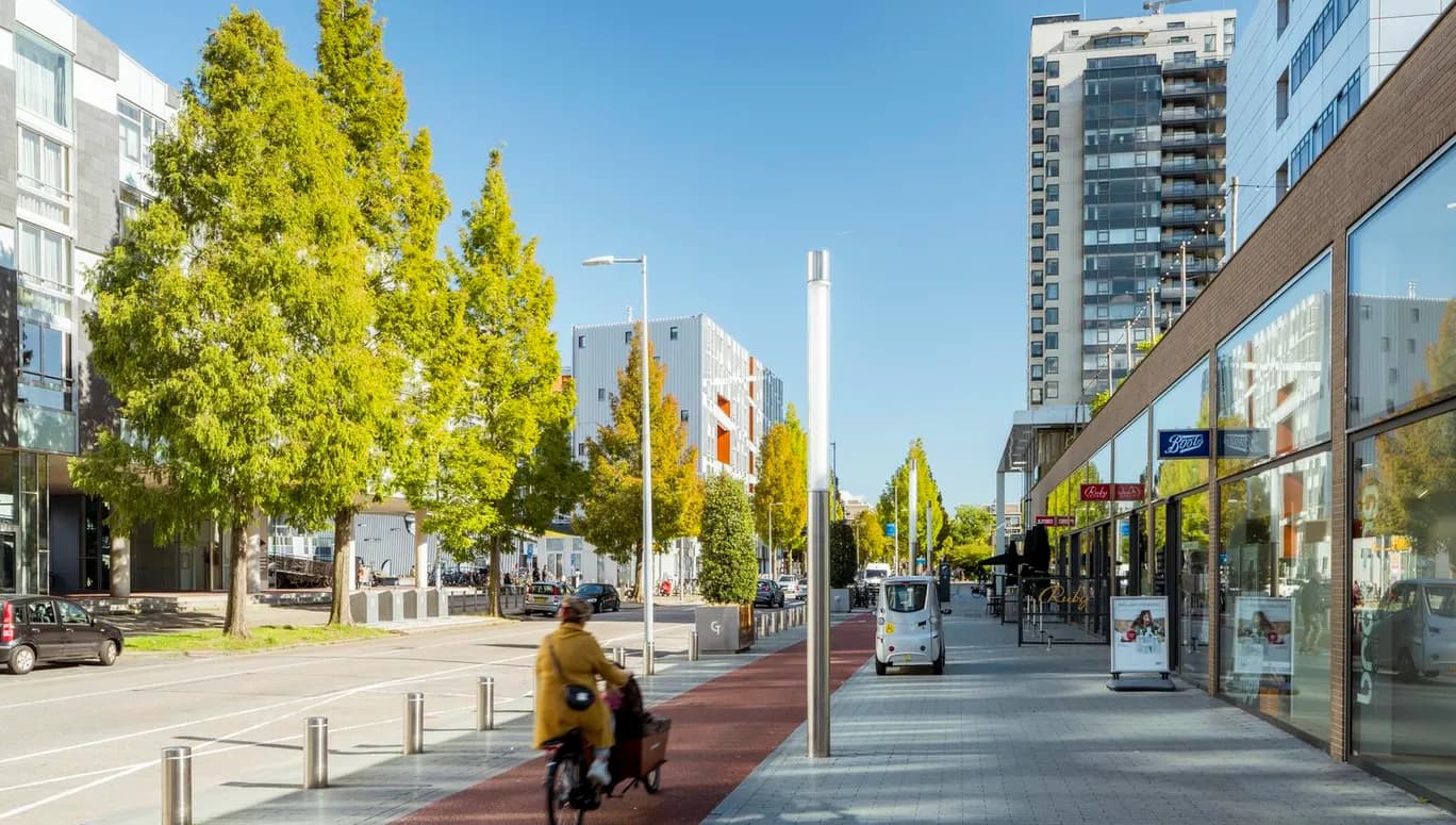 A cyclist on the bike lane of Gelderlandplein on a sunny early autumn day.