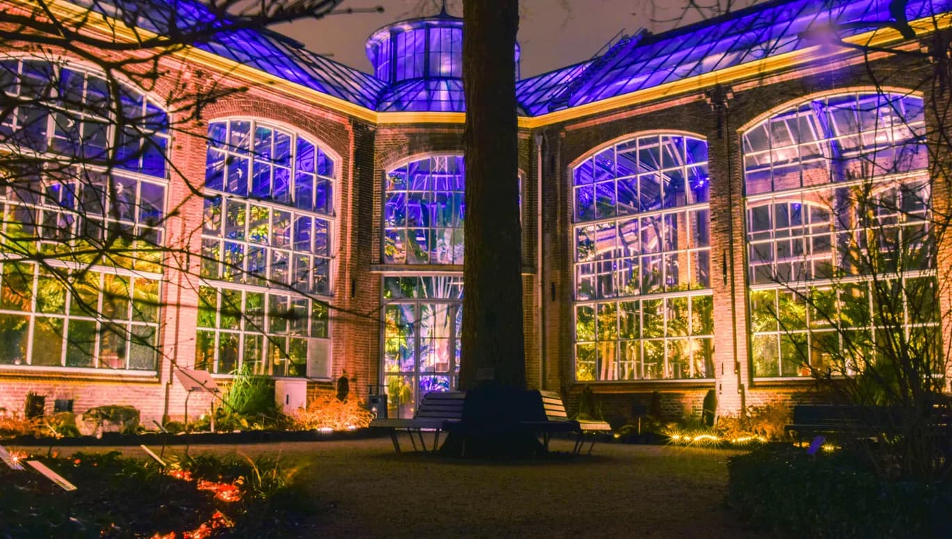 Hortus by Night botanical gardens