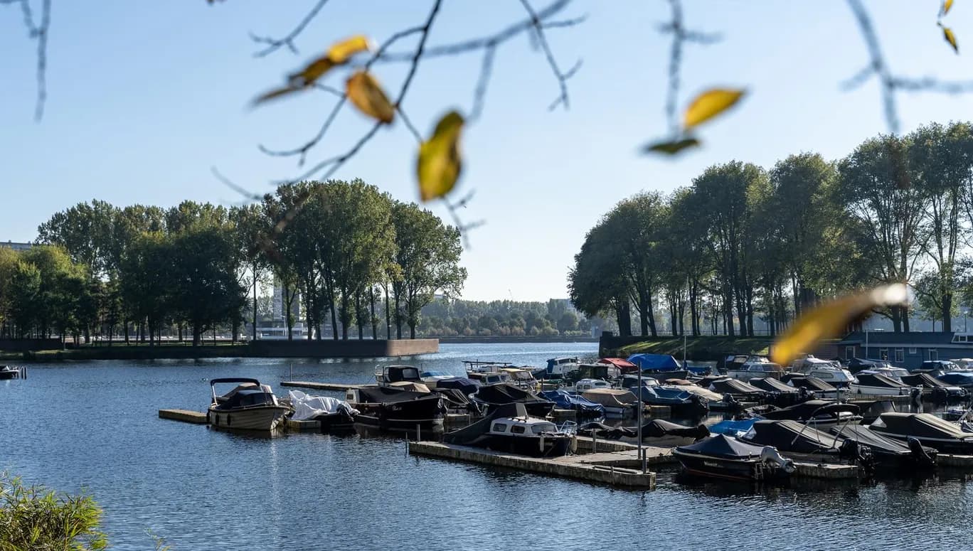 Sloterplas harbour and trees