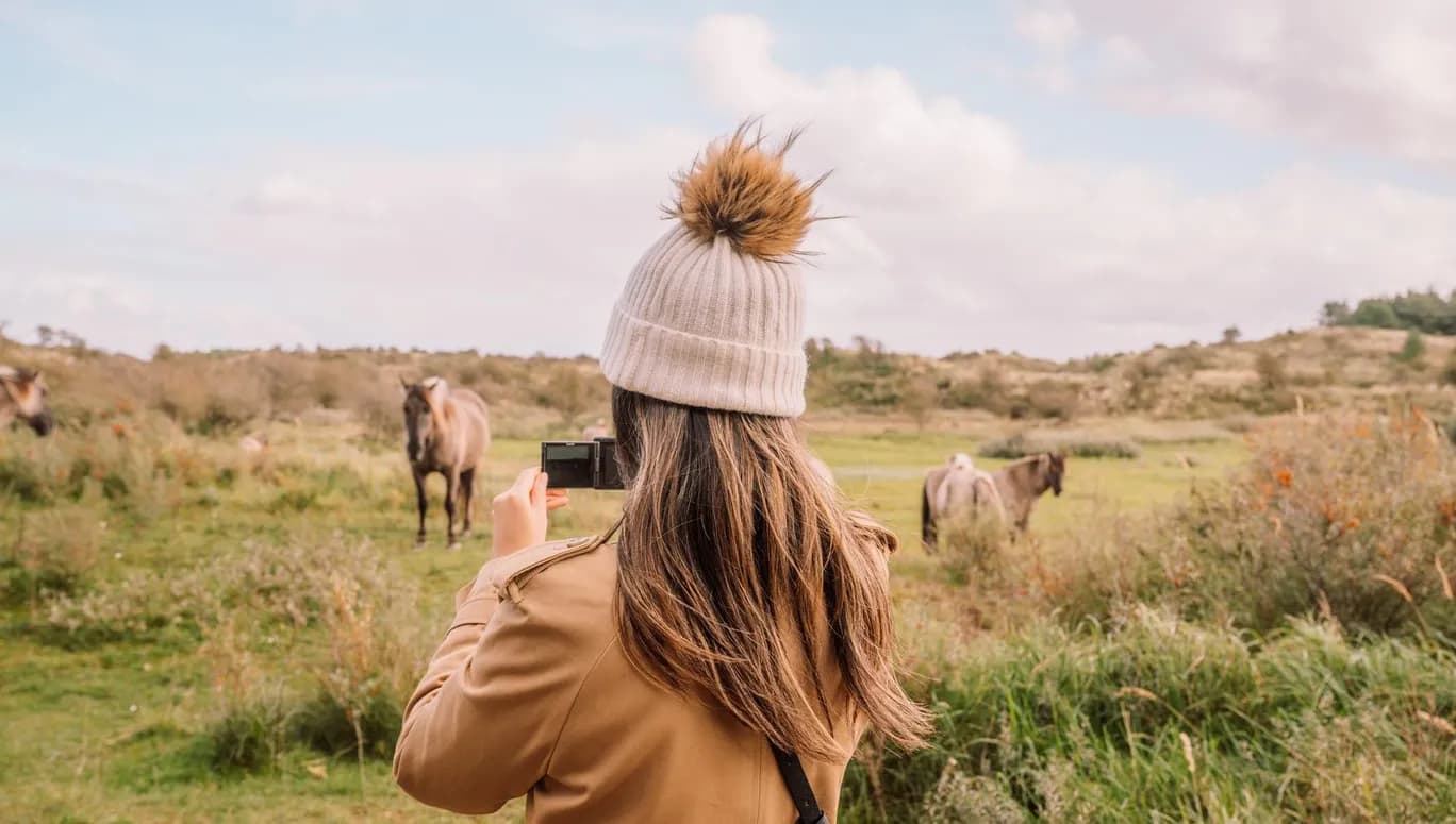 Please tag @juliakniese - trip Haarlem oktober