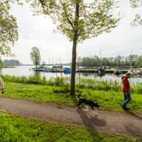 People take a walk alongside Gaasperplas.