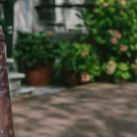 Amsterdam pole / Amsterdammertje