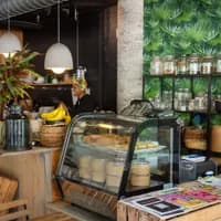 Yemaya's Vegan corner