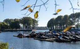 Sloterplas harbour and trees