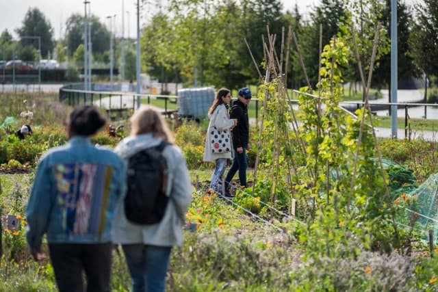 People visiting the garden of the Verfplantentuin Bloei en Groei at Nelson Mandelapark during 24H Zuidoost 2022.