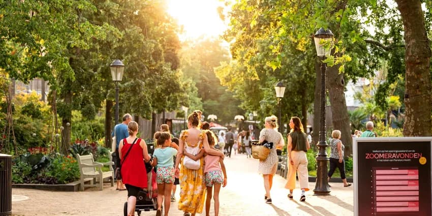Artis Zoomeravonden Summer Nights zoo