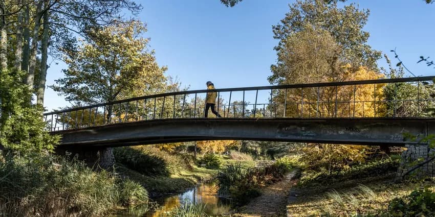 Walking over a bridge in Westerpark