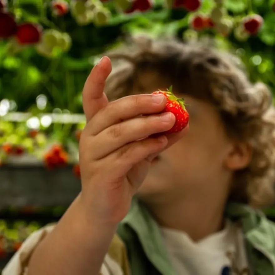 By Broersen pluktuin