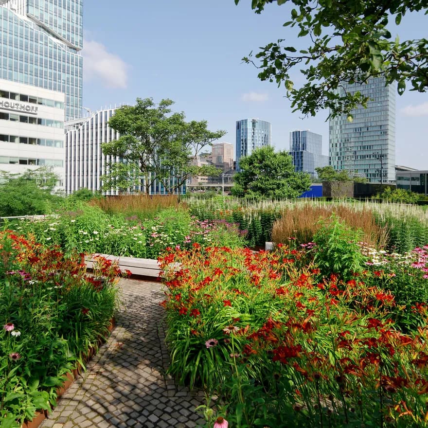 sustainable initiatives increasing urban biodiversity