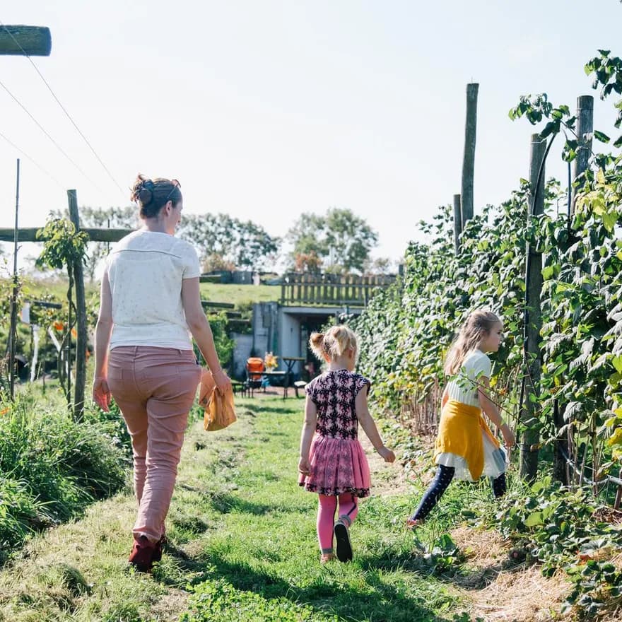 Family and kids picking fruit at Fruittuin van West