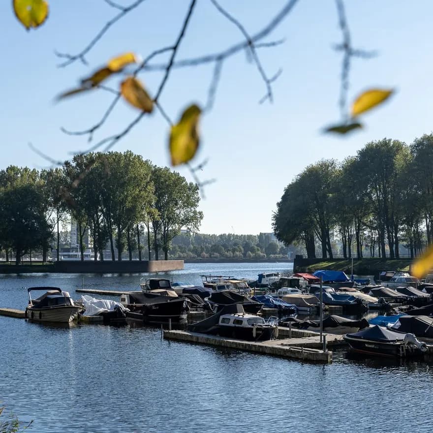 Sloterplas harbour and trees