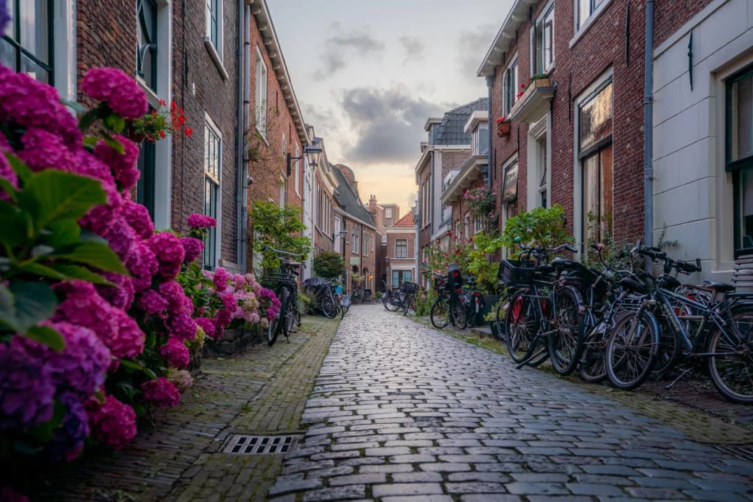 Townhouses alley in Haarlem