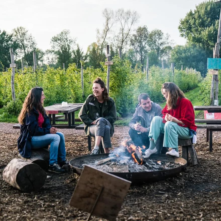 People sitting around the campfire at Fruittuin van West.