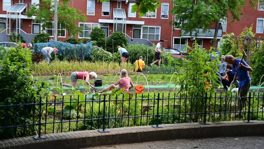 Eetbare Plantsoen people working in the garden