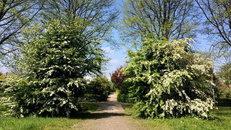 Tuinpark De Zonnehoek garden