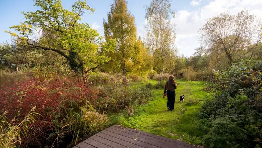 A person walks her dog in Siegerpark.