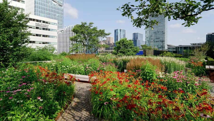 sustainable initiatives increasing urban biodiversity