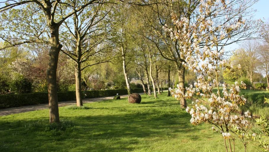 Tuinpark De Zonnehoek garden