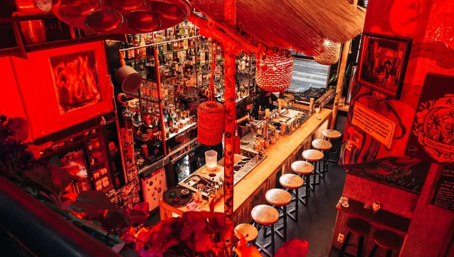 Feijoa cocktail bar interior