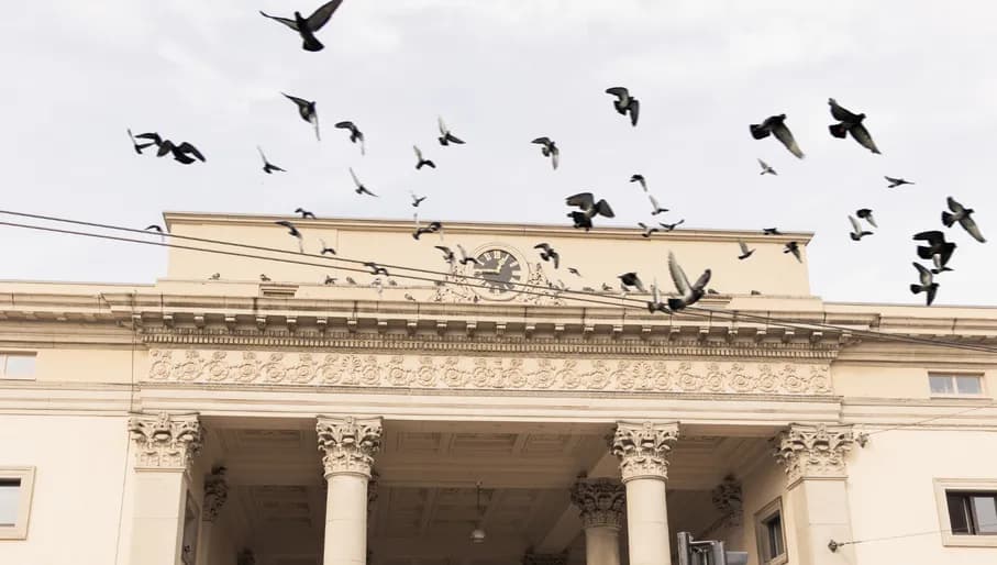 De Willem restaurant birds flying over the Haarlemmerpoort