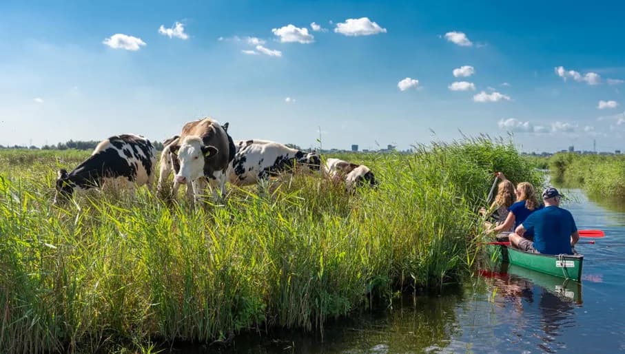 Day trip to Ilpenveld with Wetlands Safari, a guided canoe safari near Amsterdam.