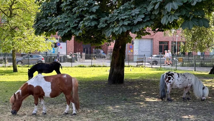 Zuidoost Content Creation Day July 2024