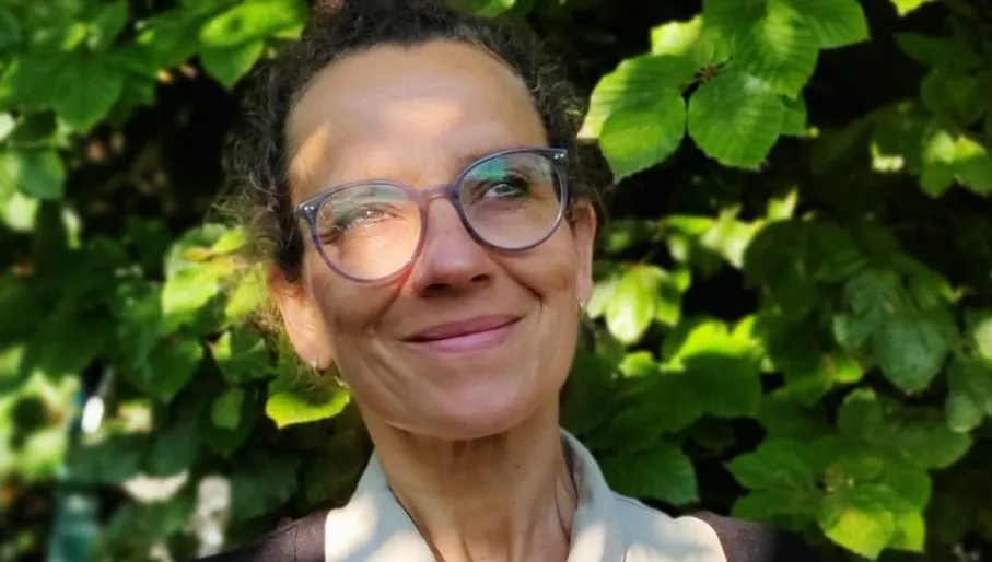 Operations Director Climate Cleanup