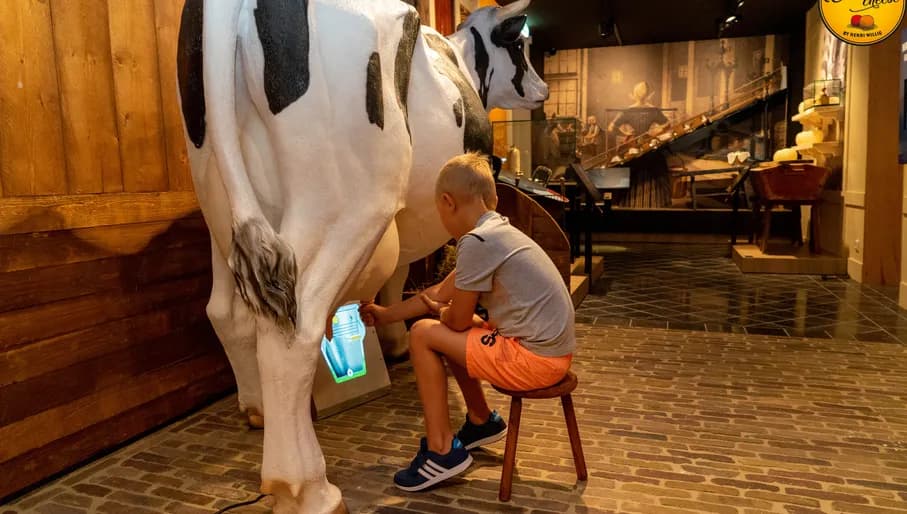 The Story of Edam Cheese, Henri Willig Cheese Experience