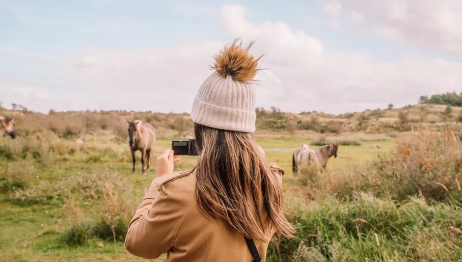 Please tag @juliakniese - trip Haarlem oktober