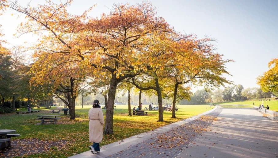 A person taking a walk in a sunny Westerpark
