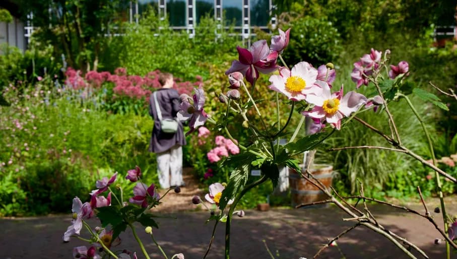 Botanische tuin zuidas