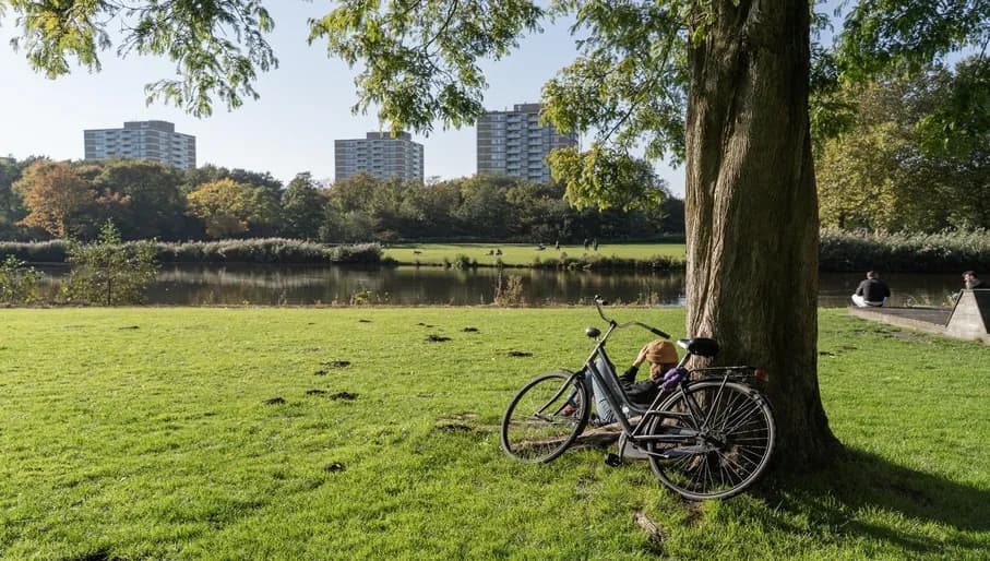 Woman sitting under tree at Rembrandtpark