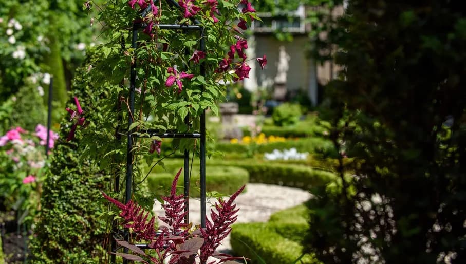 Open tuindagen 2023,  Huis Willet Holthuysen