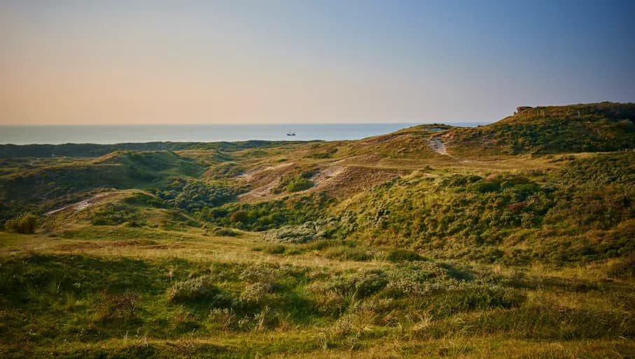 Dune landscape at Wijk aan Zee