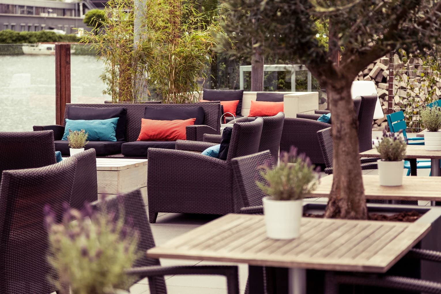 Terrace