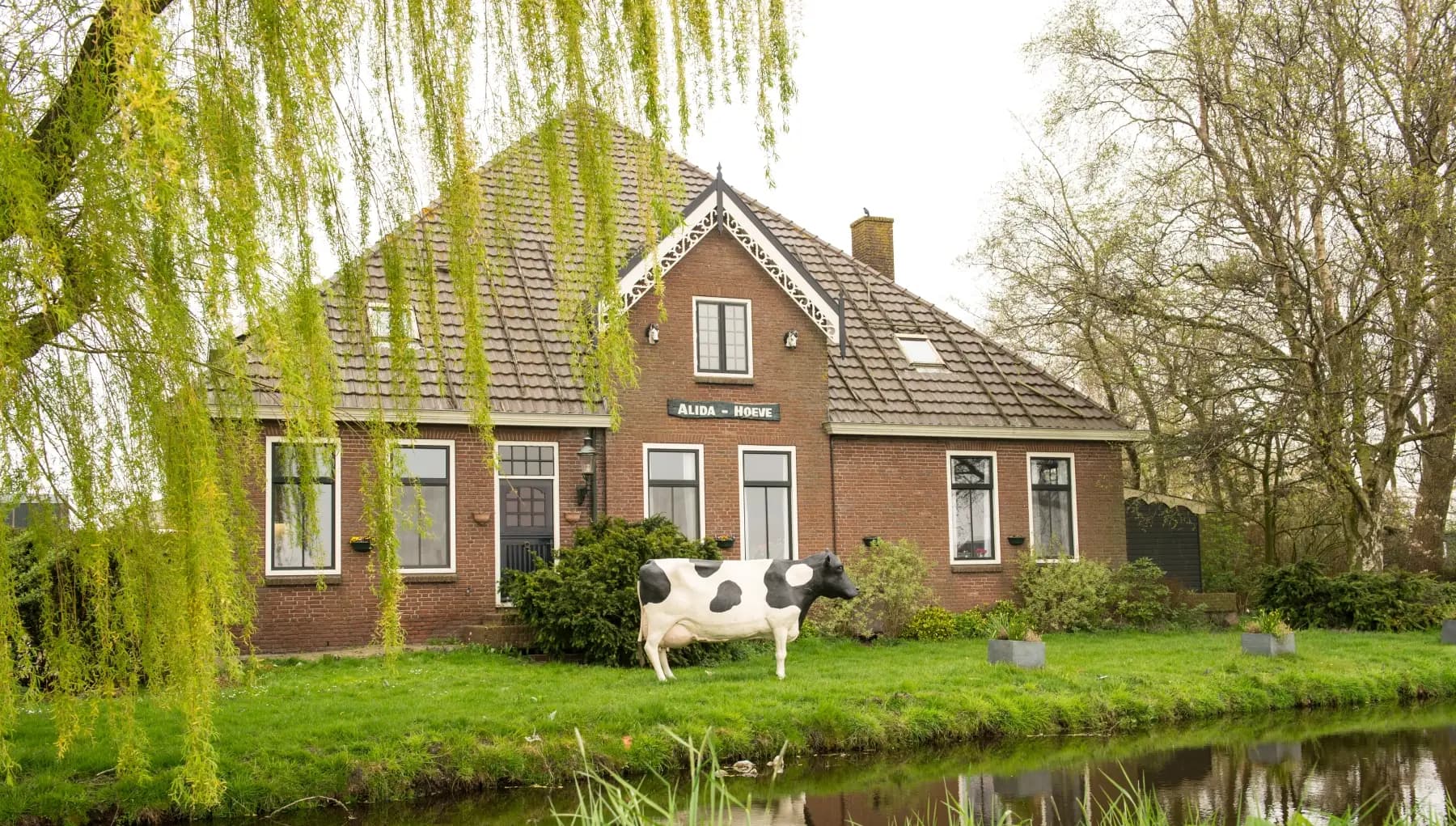 Alida Hoeve