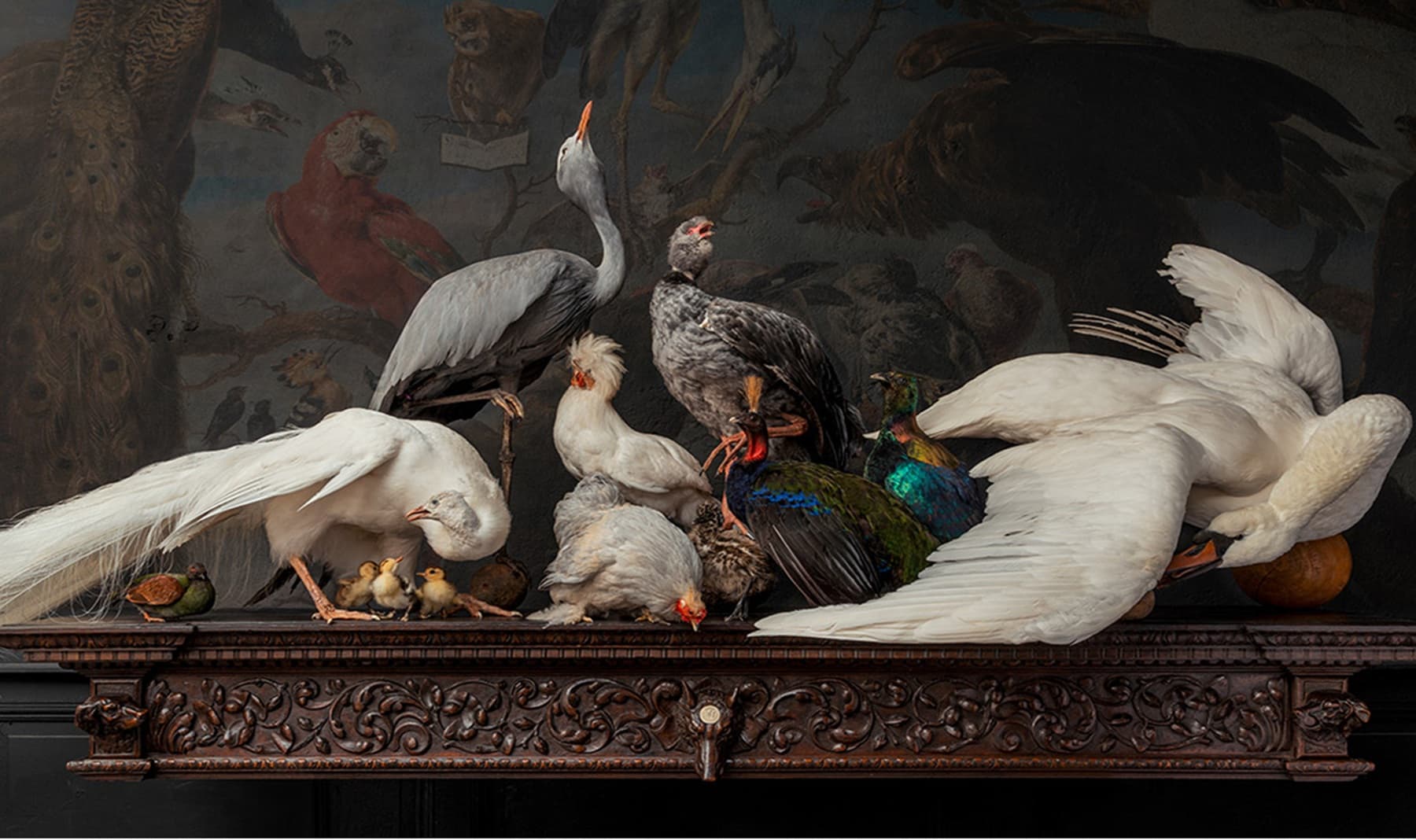 Art Zoo Museum