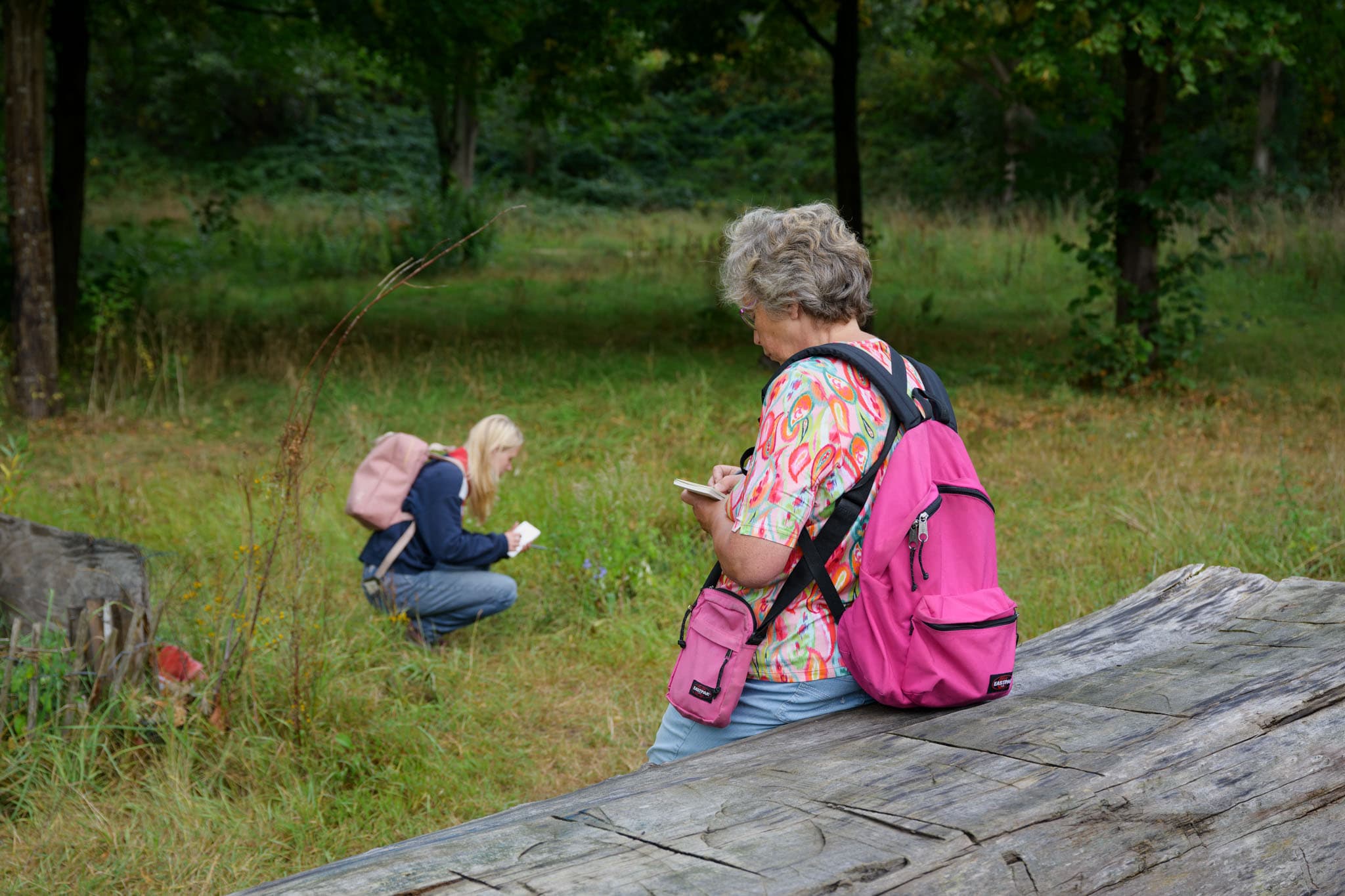 Wandelen en tekenen