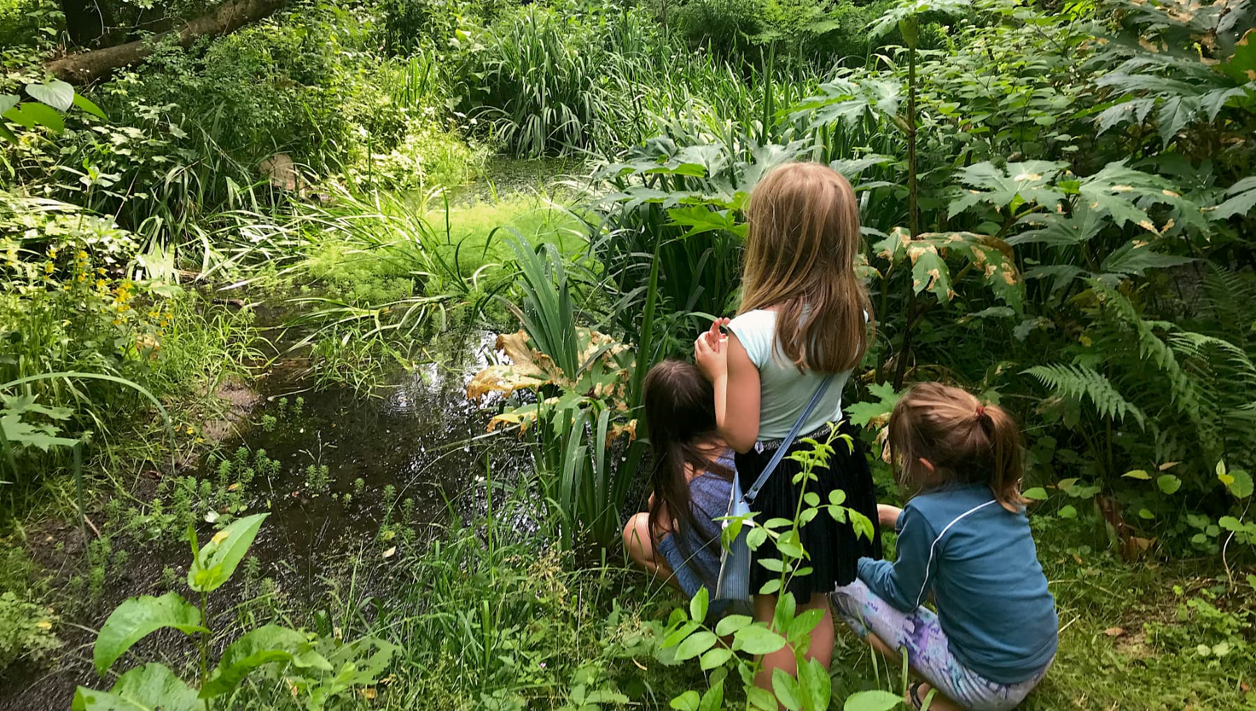 Natuurtuin Slatuinen