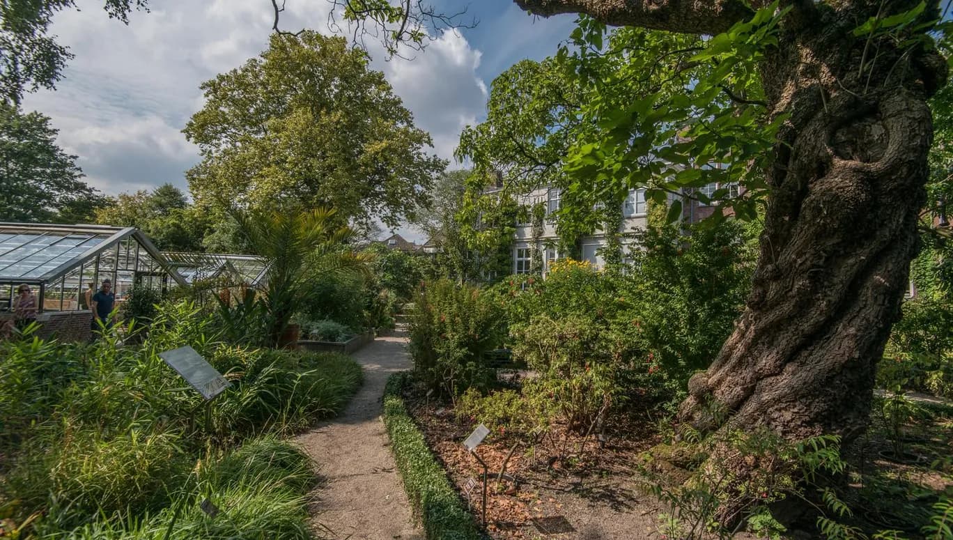 Hortus Botanicus greenhouse outside
