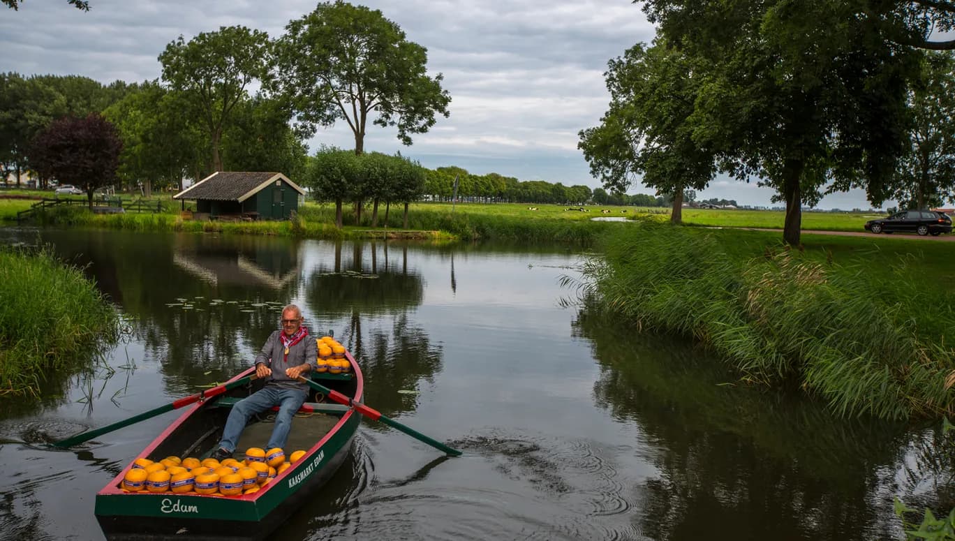 A man with typical dress in Edam comes to the Cheesemarket to sell its cheese