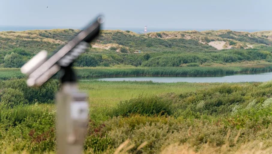 The dunes and vegetation of IJmuiderslag